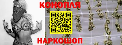 дурь Сланцы