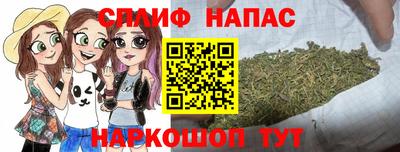 дурь Сланцы